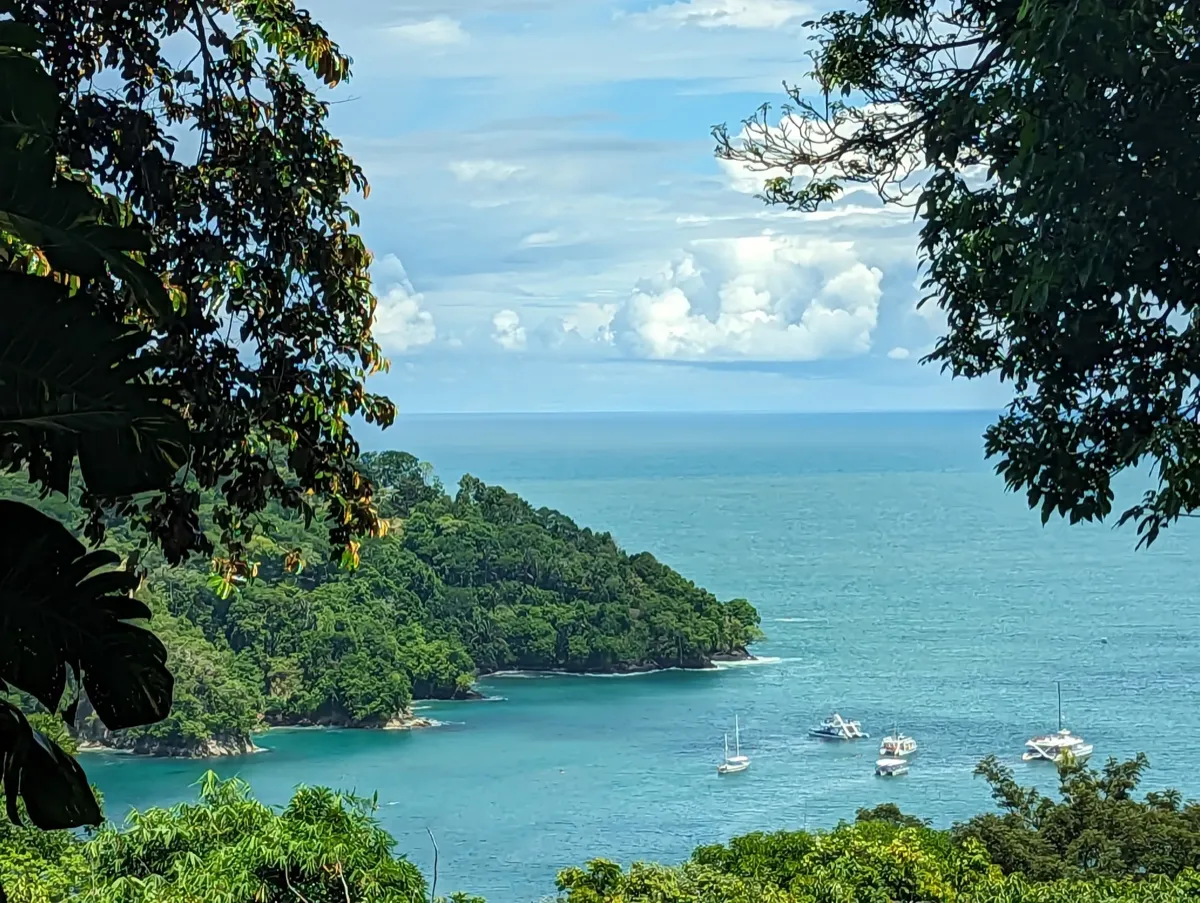 Tropical bay with lush green hillside and sailboats