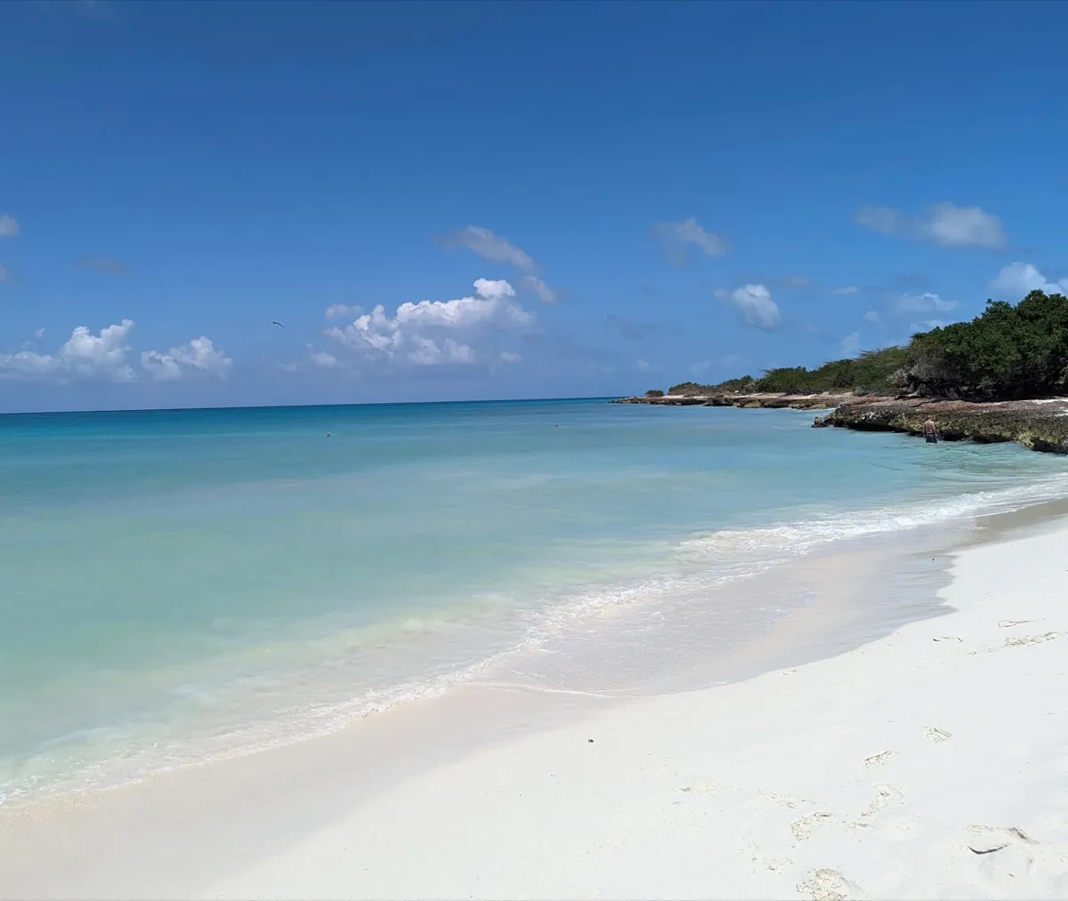 Pristine turquoise beach with white sand